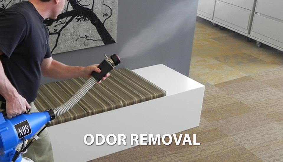 odor removal service